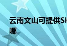 云南文山可提供SKG微波爐維修服務(wù)地址在哪