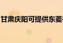 甘肅慶陽可提供東菱微波爐維修服務(wù)地址在哪