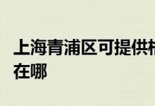 上海青浦區(qū)可提供格蘭仕微波爐維修服務地址在哪