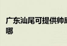 廣東汕尾可提供帥康抽油煙機(jī)維修服務(wù)地址在哪