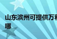 山東濱州可提供萬和抽油煙機(jī)維修服務(wù)地址在哪