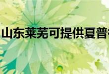 山東萊蕪可提供夏普微波爐維修服務地址在哪