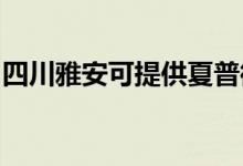四川雅安可提供夏普微波爐維修服務地址在哪