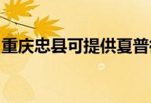重慶忠縣可提供夏普微波爐維修服務(wù)地址在哪