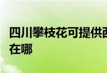 四川攀枝花可提供西門子微波爐維修服務(wù)地址在哪