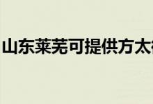 山東萊蕪可提供方太微波爐維修服務地址在哪