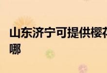 山東濟(jì)寧可提供櫻花抽油煙機(jī)維修服務(wù)地址在哪
