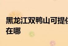 黑龍江雙鴨山可提供方太微波爐維修服務地址在哪