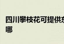 四川攀枝花可提供東菱微波爐維修服務(wù)地址在哪