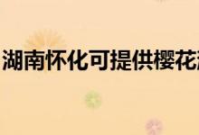 湖南懷化可提供櫻花消毒柜維修服務地址在哪