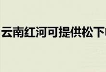 云南紅河可提供松下電磁爐維修服務(wù)地址在哪