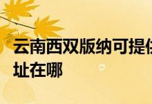 云南西雙版納可提供艾美特電磁爐維修服務地址在哪
