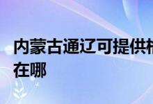 內(nèi)蒙古通遼可提供格蘭仕電磁爐維修服務(wù)地址在哪