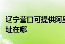 遼寧營(yíng)口可提供阿里斯頓抽油煙機(jī)維修服務(wù)地址在哪