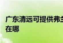 廣東清遠(yuǎn)可提供弗蘭卡抽油煙機(jī)維修服務(wù)地址在哪