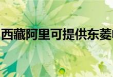 西藏阿里可提供東菱電磁爐維修服務(wù)地址在哪