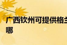 廣西欽州可提供格蘭仕電磁爐維修服務(wù)地址在哪