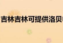 吉林吉林可提供洛貝電磁爐維修服務(wù)地址在哪