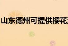 山東德州可提供櫻花消毒柜維修服務地址在哪