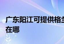 廣東陽江可提供格蘭仕抽油煙機維修服務地址在哪