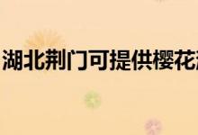 湖北荊門可提供櫻花消毒柜維修服務地址在哪
