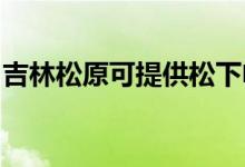 吉林松原可提供松下電磁爐維修服務(wù)地址在哪