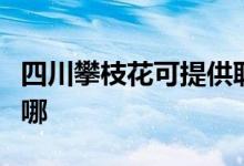 四川攀枝花可提供聯(lián)創(chuàng)電磁爐維修服務(wù)地址在哪