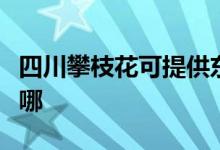 四川攀枝花可提供東菱電磁爐維修服務(wù)地址在哪