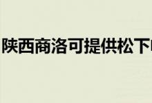 陜西商洛可提供松下電磁爐維修服務(wù)地址在哪