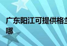 廣東陽(yáng)江可提供格蘭仕電磁爐維修服務(wù)地址在哪