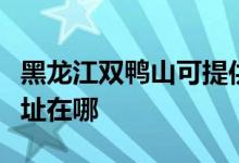 黑龍江雙鴨山可提供每時(shí)樂電磁爐維修服務(wù)地址在哪