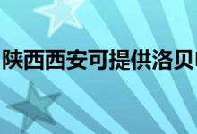 陜西西安可提供洛貝電磁爐維修服務(wù)地址在哪
