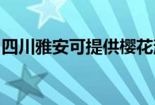 四川雅安可提供櫻花消毒柜維修服務地址在哪