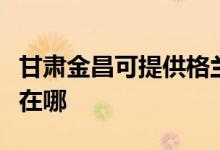 甘肅金昌可提供格蘭仕抽油煙機維修服務地址在哪