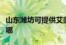 山東濰坊可提供艾美特電磁爐維修服務地址在哪