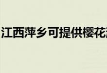 江西萍鄉(xiāng)可提供櫻花消毒柜維修服務地址在哪
