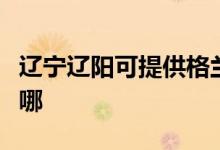 遼寧遼陽可提供格蘭仕電磁爐維修服務(wù)地址在哪