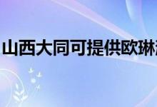 山西大同可提供歐琳消毒柜維修服務(wù)地址在哪