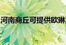 河南商丘可提供歐琳消毒柜維修服務地址在哪