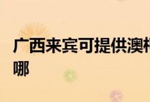 廣西來賓可提供澳柯瑪電飯煲維修服務(wù)地址在哪