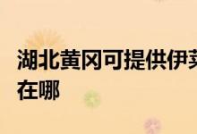 湖北黃岡可提供伊萊克斯消毒柜維修服務(wù)地址在哪