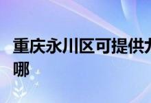 重慶永川區(qū)可提供九陽電飯煲維修服務(wù)地址在哪
