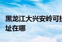 黑龍江大興安嶺可提供德意消毒柜維修服務(wù)地址在哪