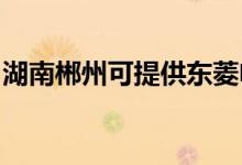 湖南郴州可提供東菱電飯煲維修服務地址在哪