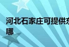 河北石家莊可提供東菱電飯煲維修服務地址在哪