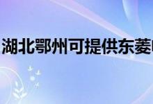 湖北鄂州可提供東菱電飯煲維修服務地址在哪