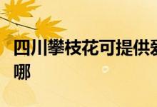 四川攀枝花可提供愛德電飯煲維修服務地址在哪