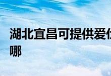 湖北宜昌可提供愛仕達(dá)電飯煲維修服務(wù)地址在哪