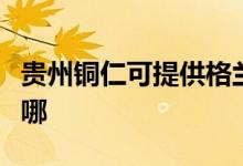 貴州銅仁可提供格蘭仕電餅鐺維修服務(wù)地址在哪