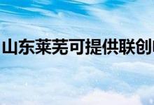 山東萊蕪可提供聯創(chuàng)電飯煲維修服務地址在哪